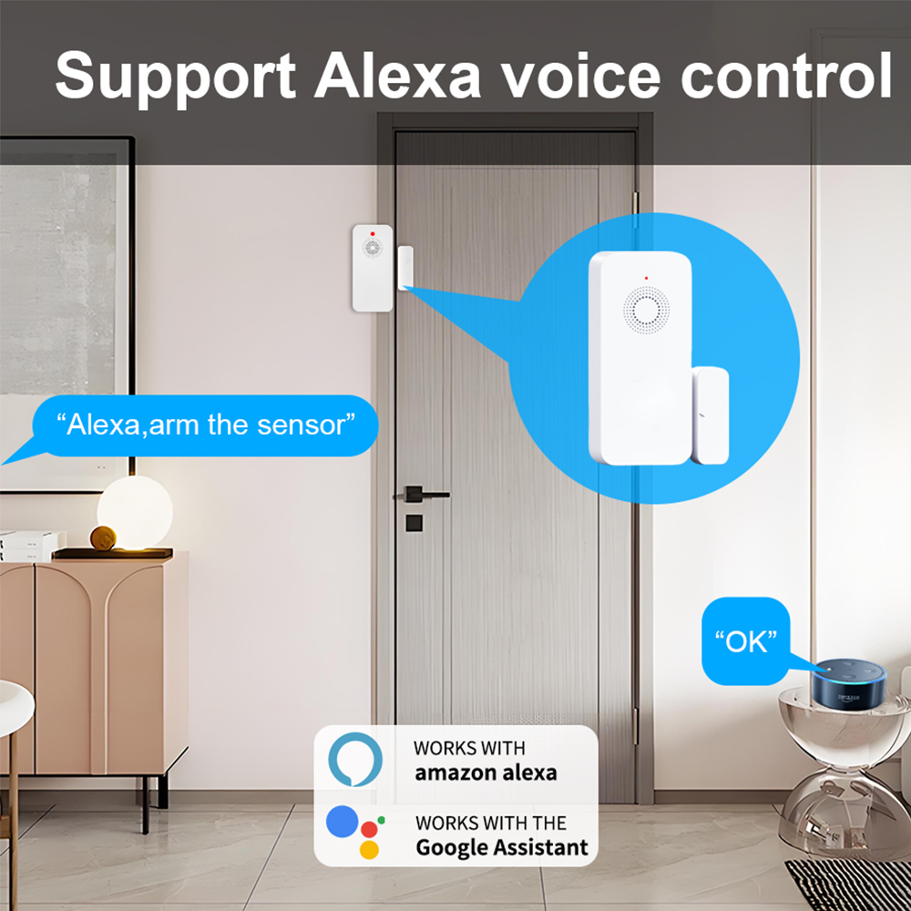 PGST Door Window Magnetic Sens - огляд і ціна Home Security Alexa