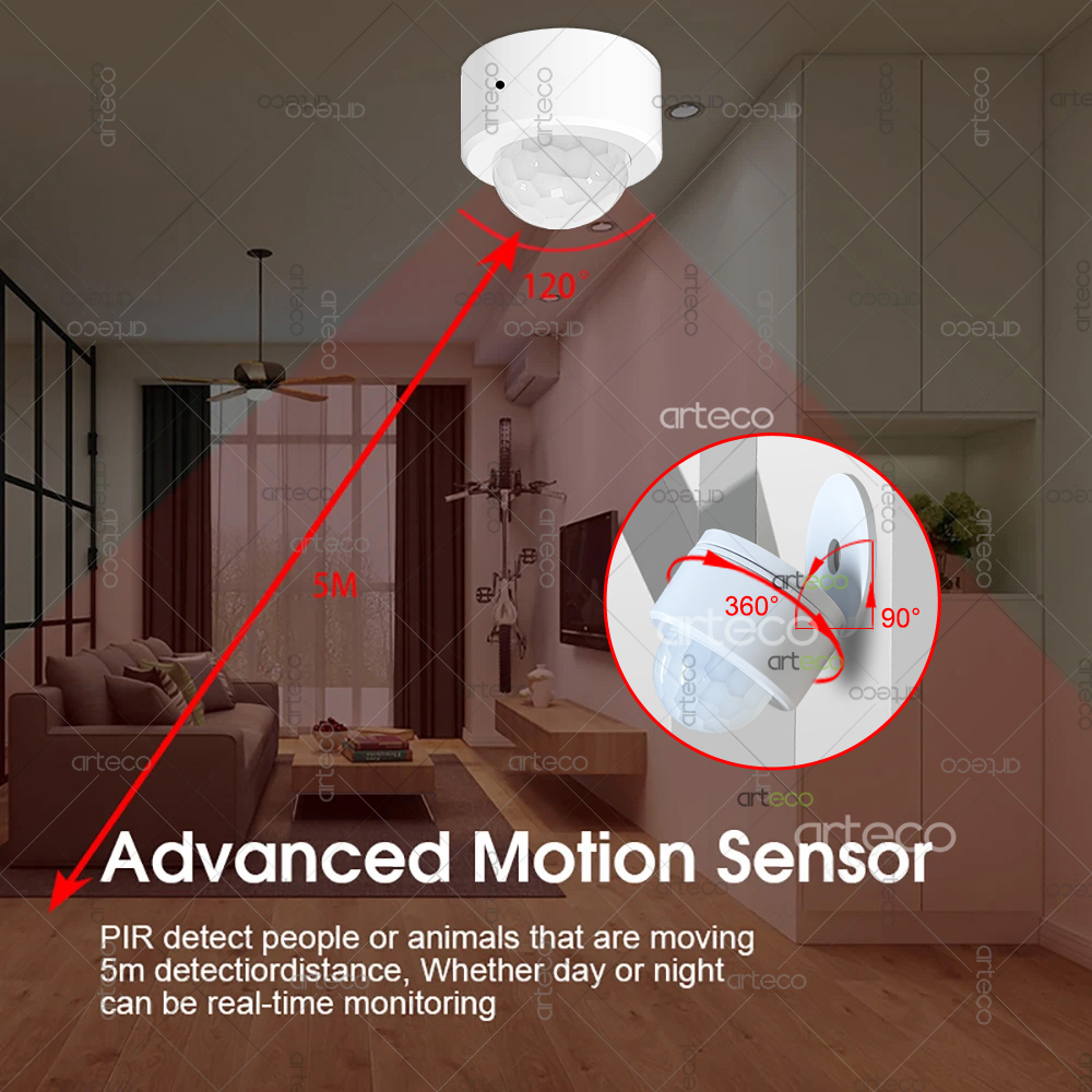 Ewelink Zigbee PIR Motion Sens - огляд і ціна Home Security Alexa