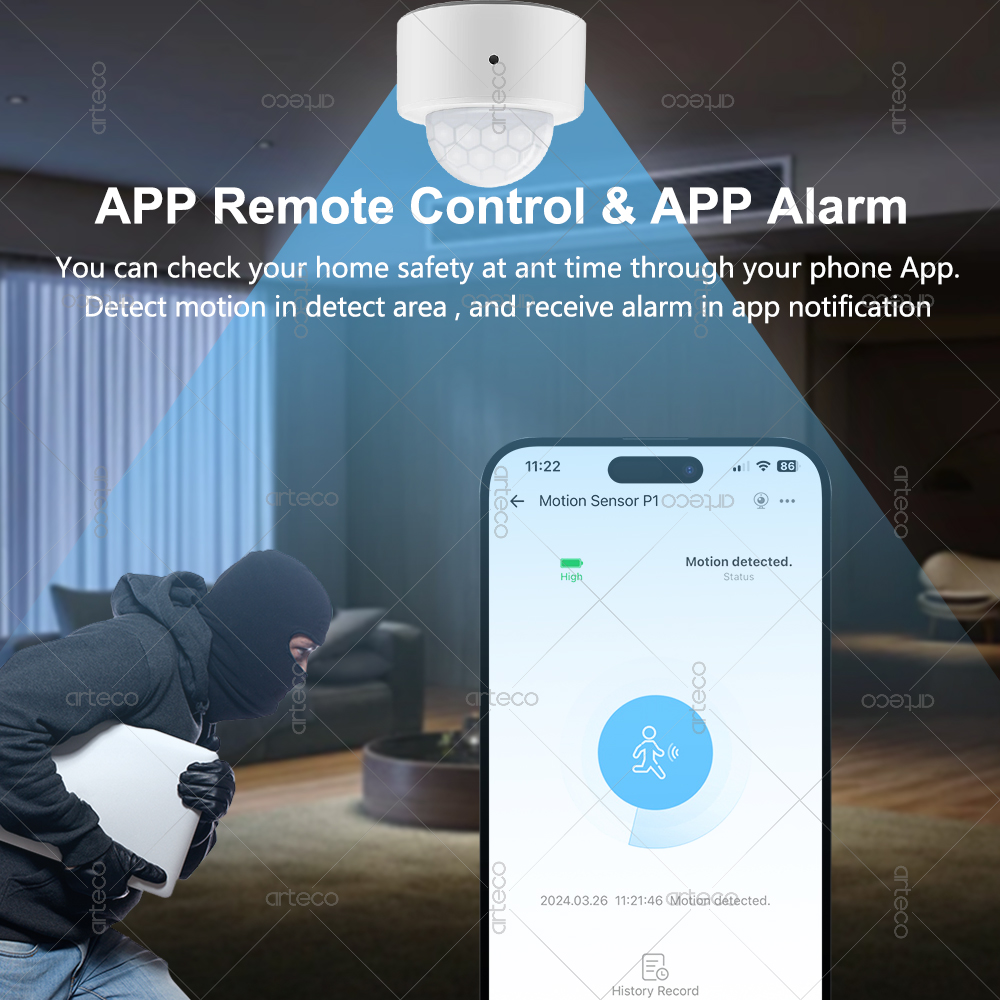 Ewelink Zigbee PIR Motion Sens - огляд і ціна Home Security Alexa