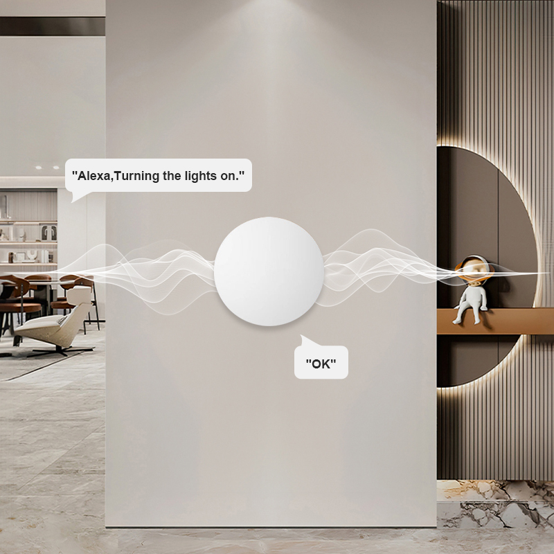 ZigBee Smart Wireless Button S - огляд і ціна Home Security Alexa