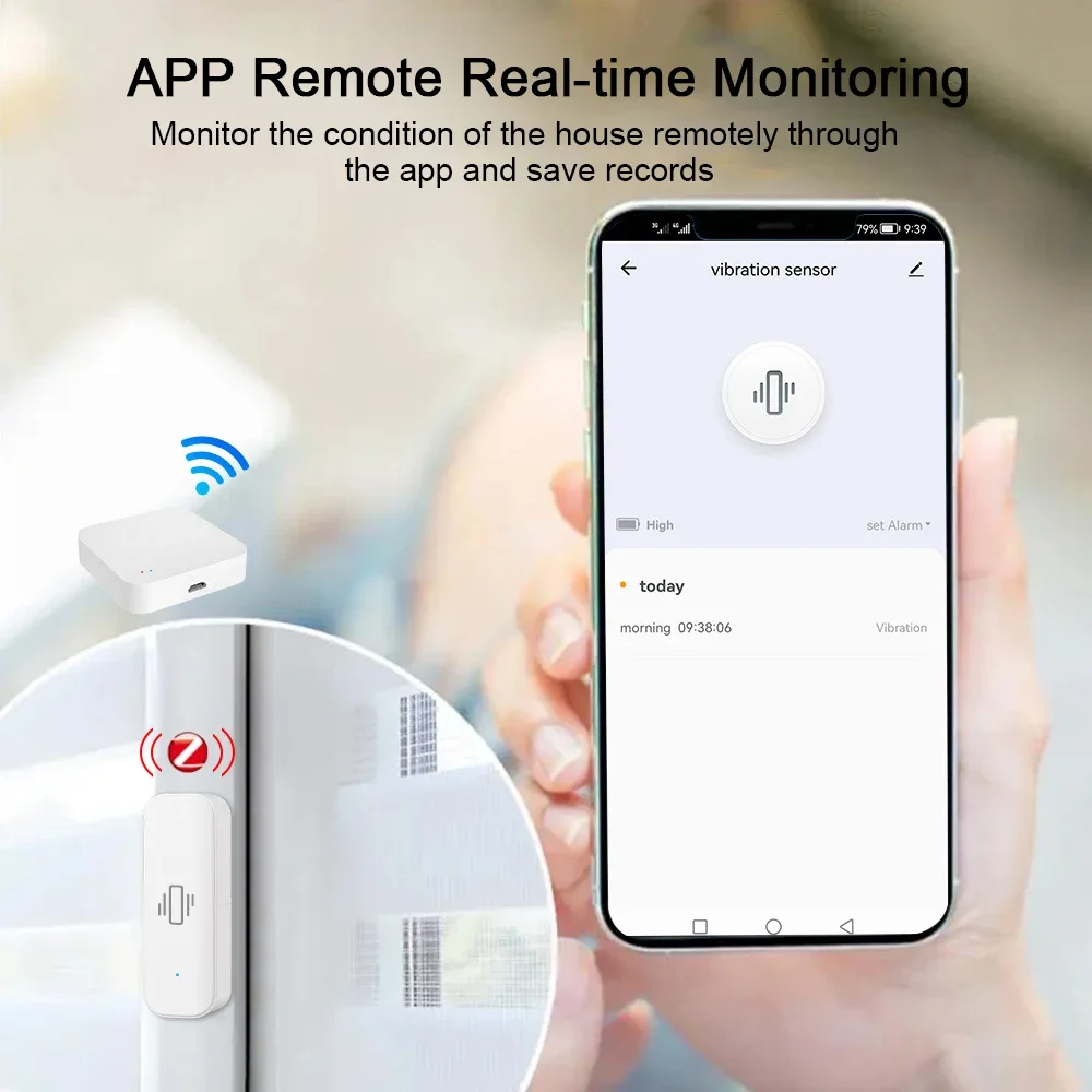 Tuya WiFi/Zigbee Smart Vibrati - огляд і ціна Home Security Monitoring